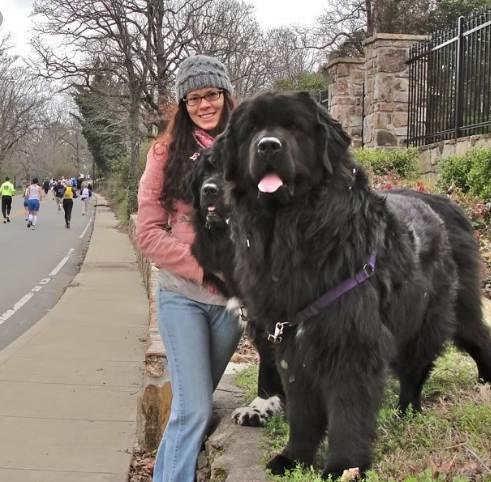 Top 10 Largest Dog Breeds in the World 2021