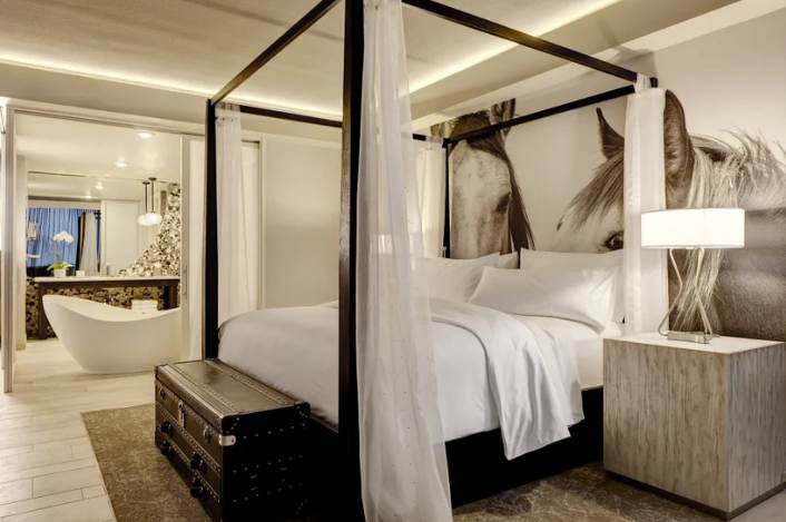 Top 10 Best Luxury Hotels in Austin 2020