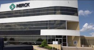 Top 10 Vaccine Manufacturers in the World