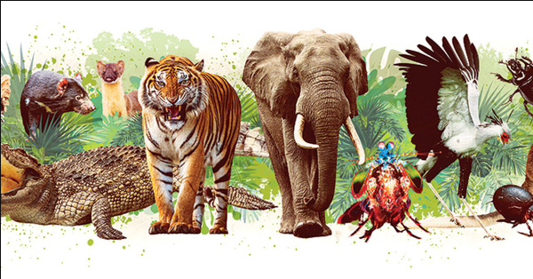 Strongest Animals in the World 2021