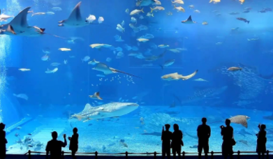 Top 10 Biggest Aquariums in the World 2021