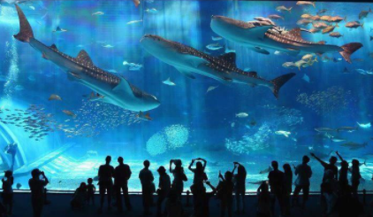 Biggest Aquariums in the World 2021