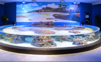 Largest Aquariums in the World 2021