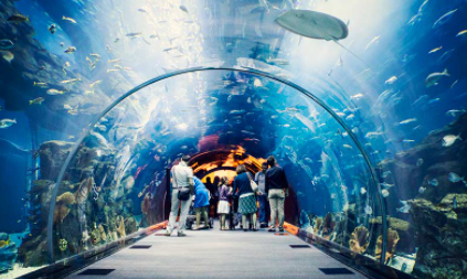 Top 10 Biggest Aquariums in the World 2021