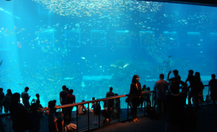 Biggest Aquariums in the World 2021