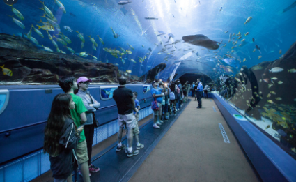 Biggest Aquariums in the World 2021