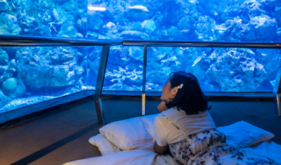 Biggest Aquariums in the World 2021