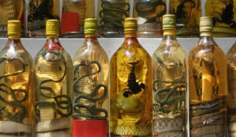 Real nasty foods in the world