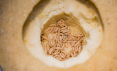 nasty foods in the world
