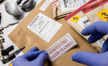 Highest Paid Criminal Justice Jobs in the World