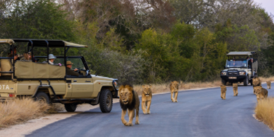 Top 10 Best Vacation Spots in Africa 2021