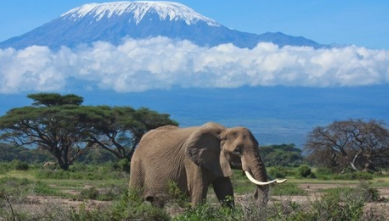 Top 10 Best Vacation Spots in Africa 2021