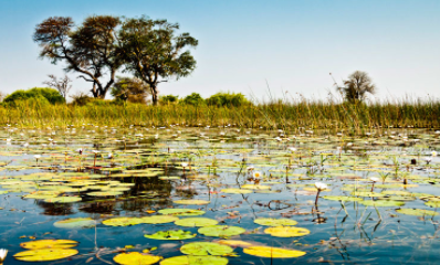 Top 10 Best Vacation Spots in Africa 2021