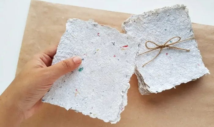 How to Make Paper From Plants (DIY Easy Steps)