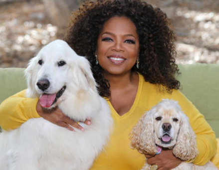 Richest Pet Animals in the World 2021