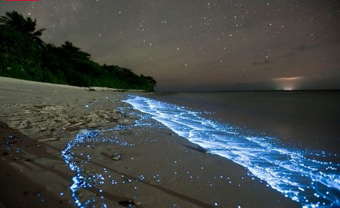 10 Amazing Things In Nature