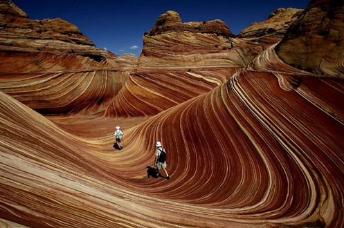 10 Amazing Things In Nature