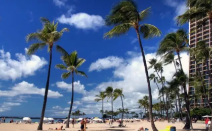 10 Exciting Things to do in Gold Coast