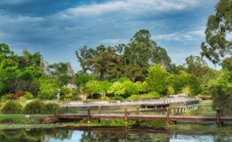 10 Exciting Things to do in Gold Coast