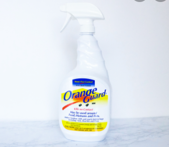 Best home bug spray 2021
