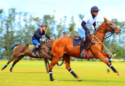 Most Expensive Hobbies in the World