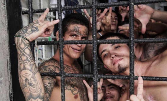 Biggest Gangs in the World 2022