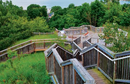 Free Things to Do In Holland Michigan