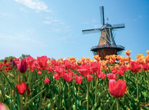 Free Things to Do In Holland Michigan
