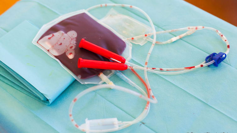 10 Best Cord Blood Banking Companies In the World 2022