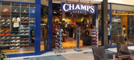 Best Online Sporting and Outdoor Goods Stores