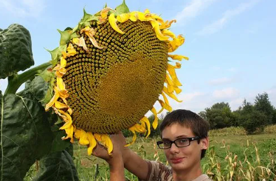 Biggest Flowers in the World